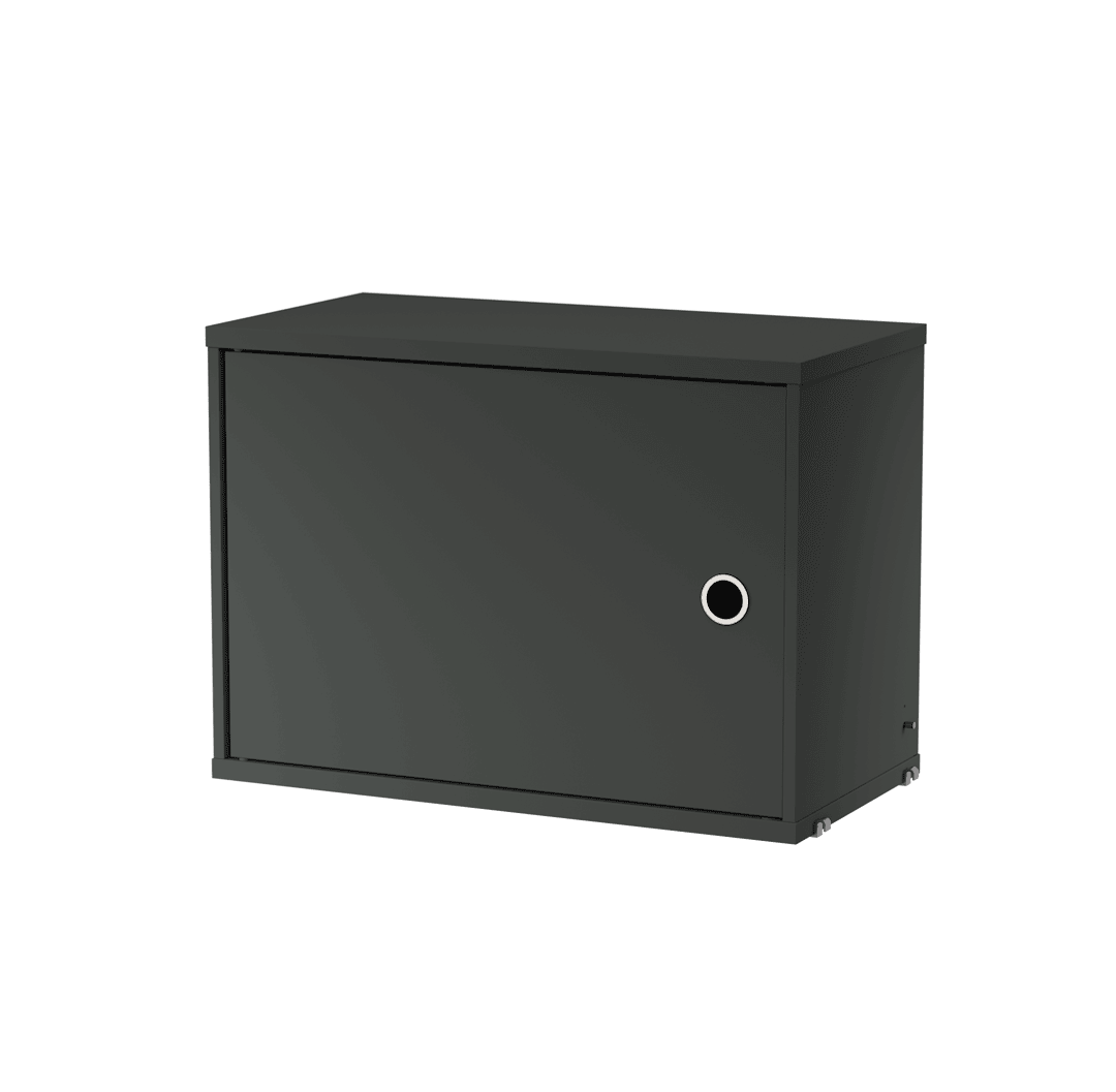 Cabinet with Swing Door