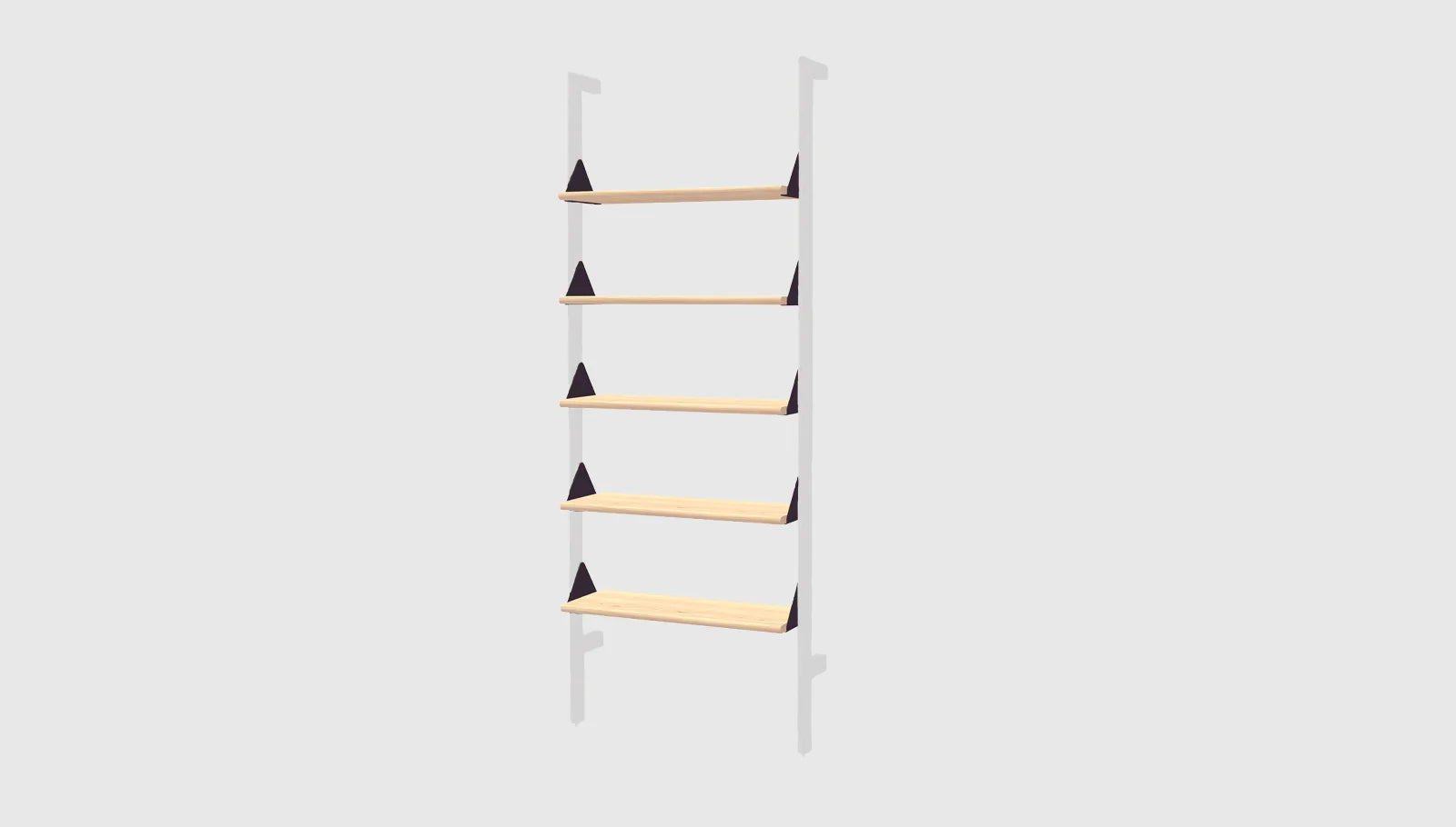 Branch Shelf 5-Pack