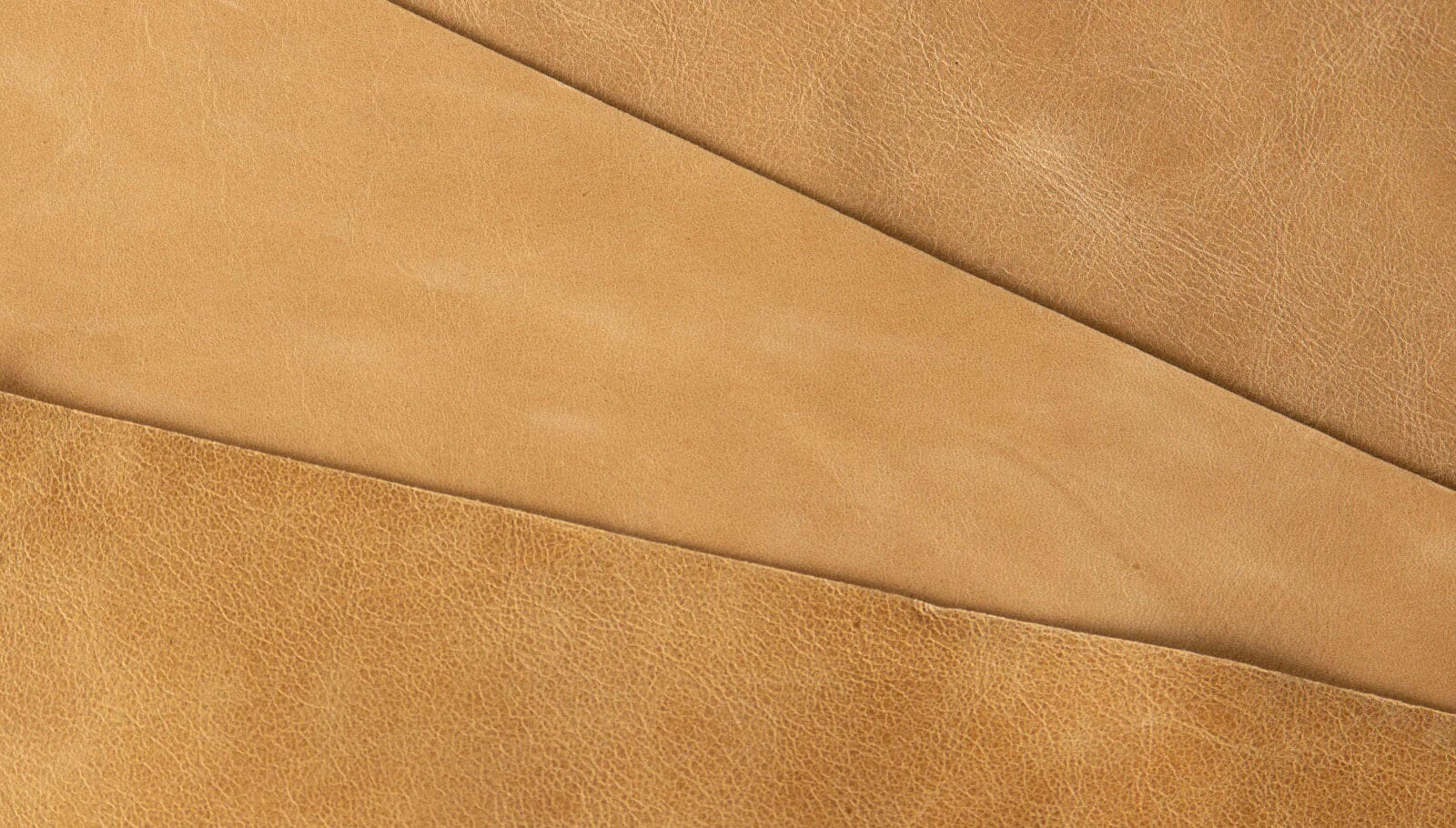 Cabot Sofa Sofa Gus Modern