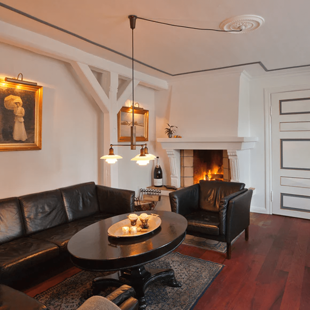 PH 2-1 Stem Fitting Pendant Light hanging lamps Louis Poulsen