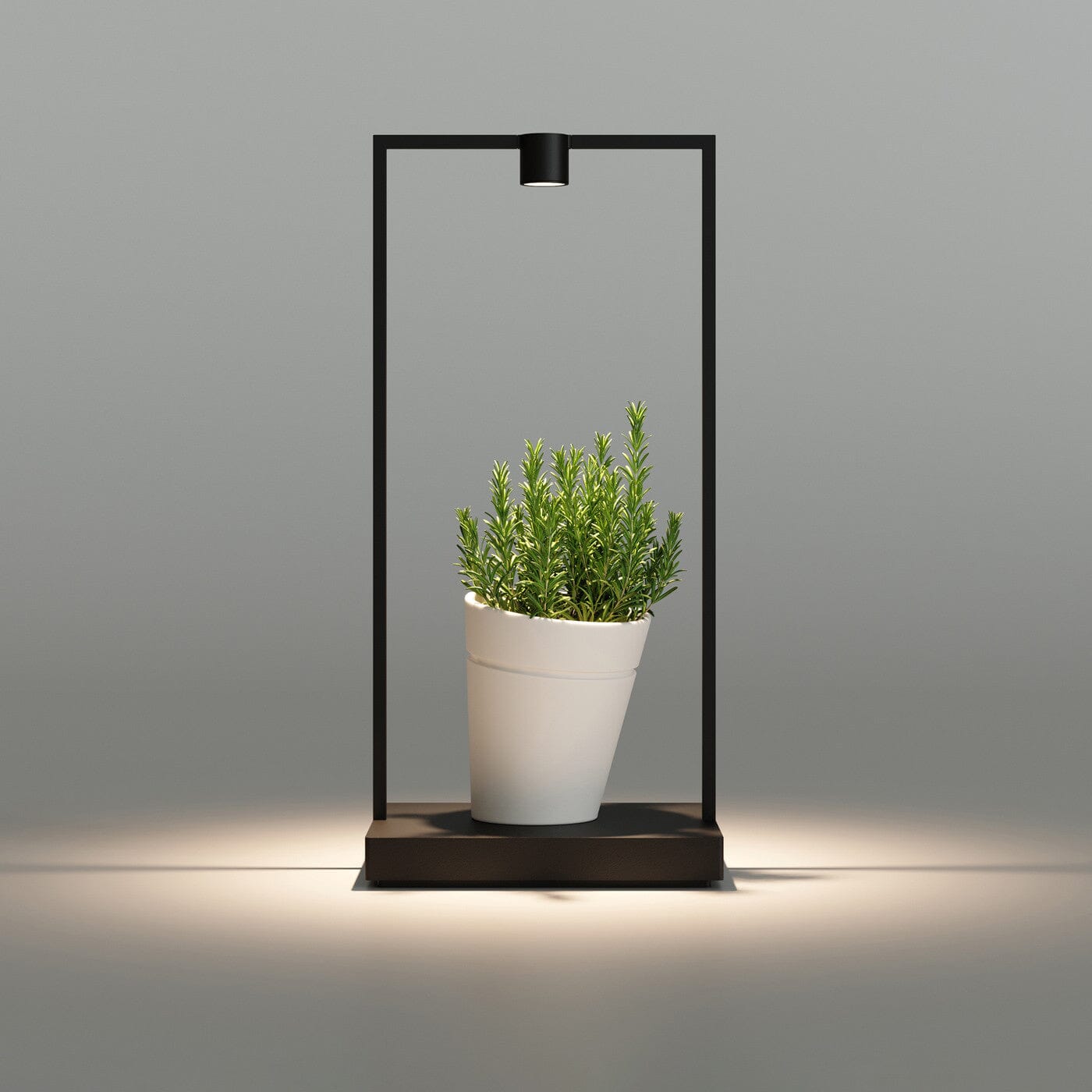 Curiosity 45 Table Lamp Table Lamps Artemide