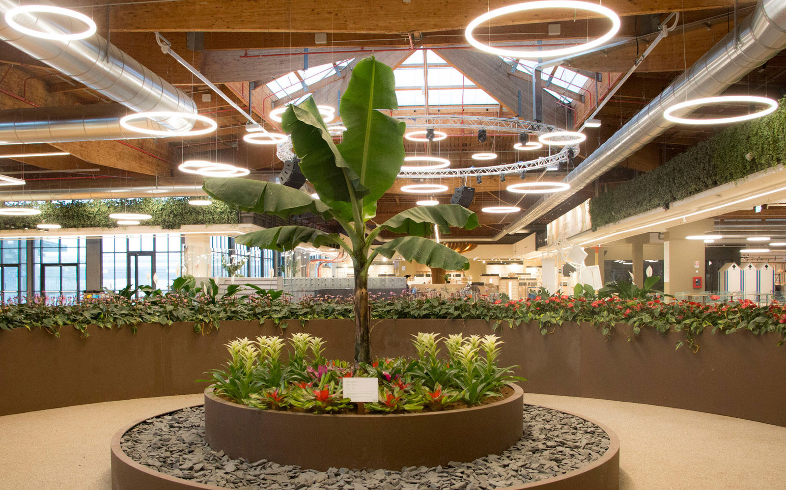 Alphabet of Light Circular Suspension Table Lamps Artemide