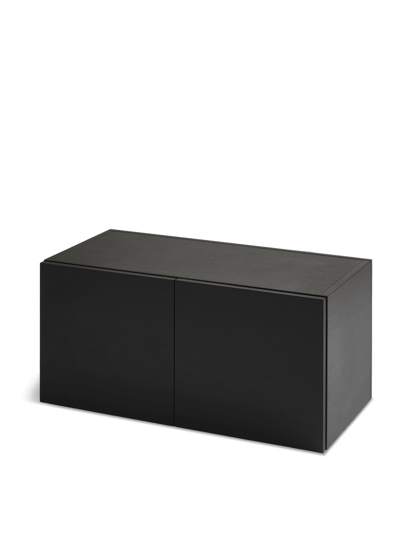 Elevate 2-Door Cabinet storage Woud Black Painted Oak