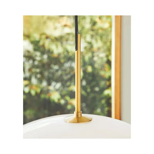 Clam Pendant Lamp