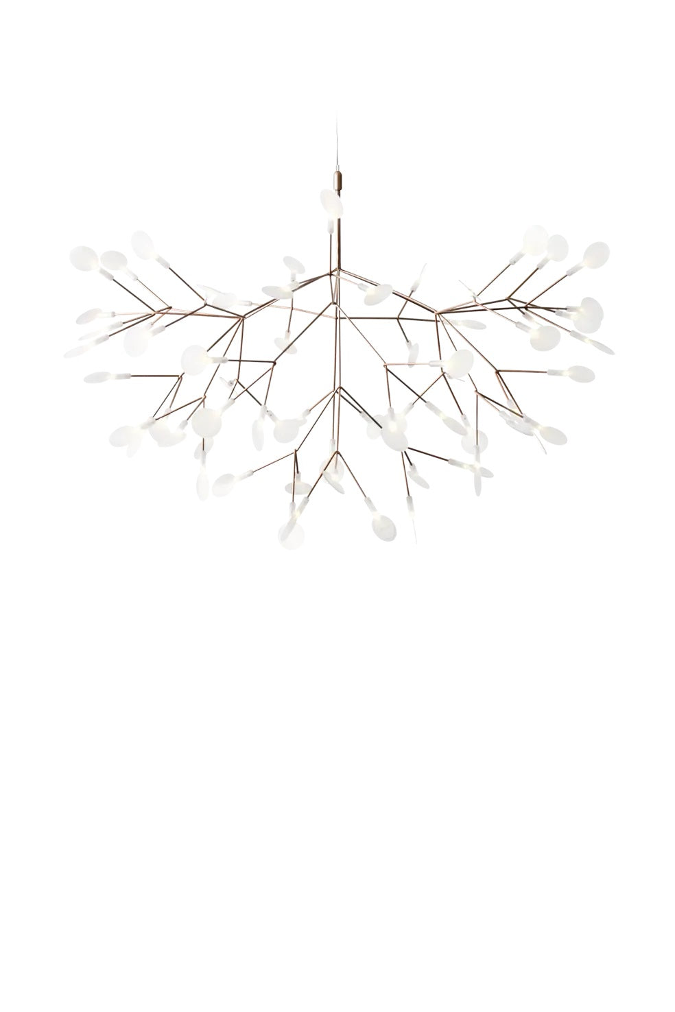 Heracleum Suspension Light