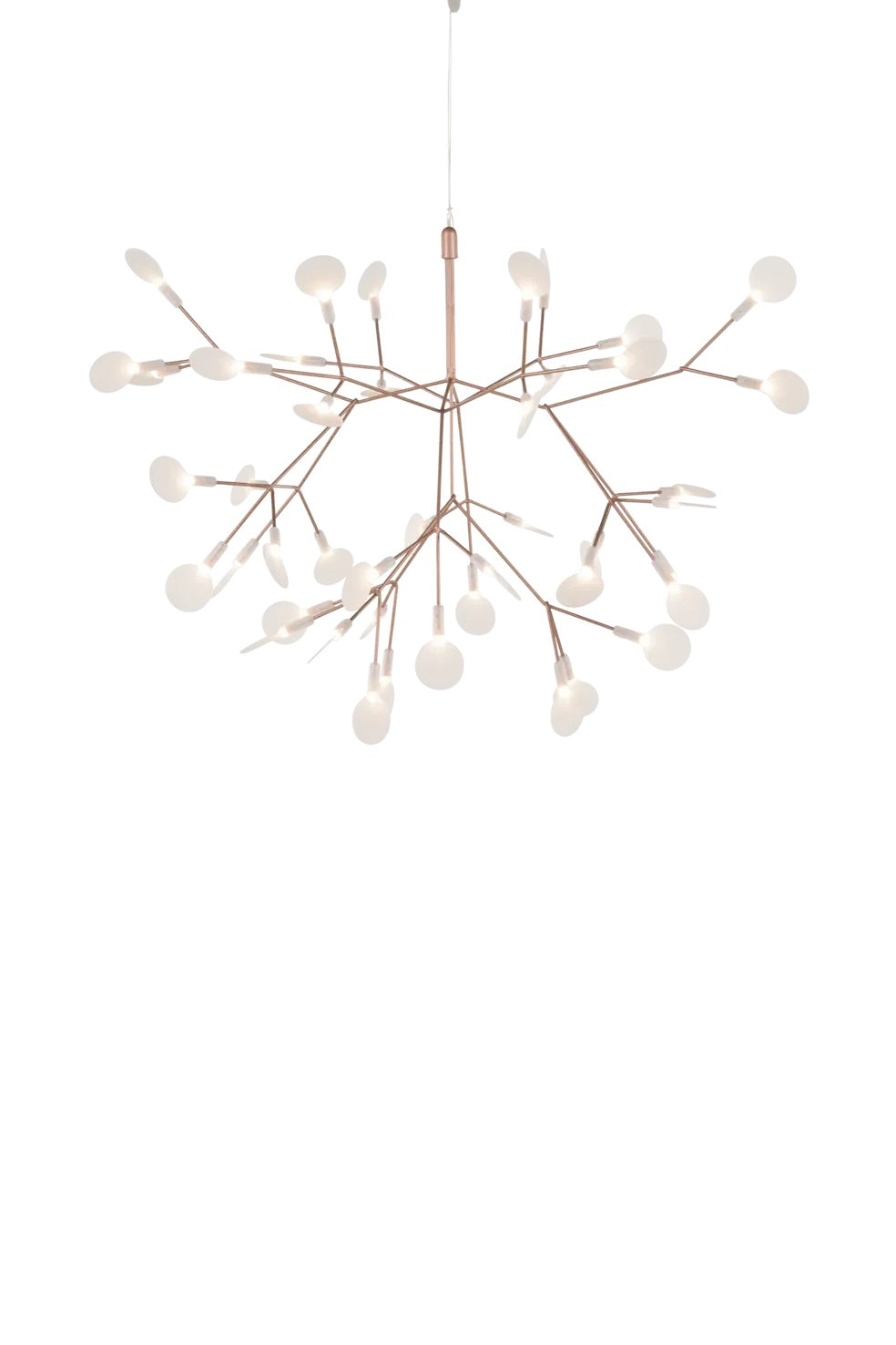 Heracleum Suspension Light
