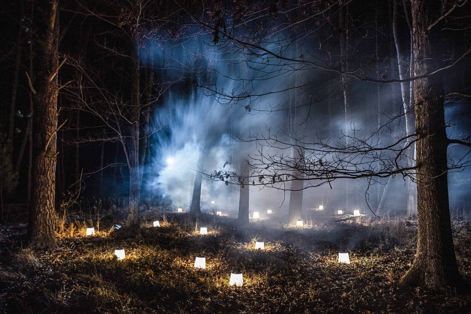 Cri Cri Led Light Table Lamp Foscarini