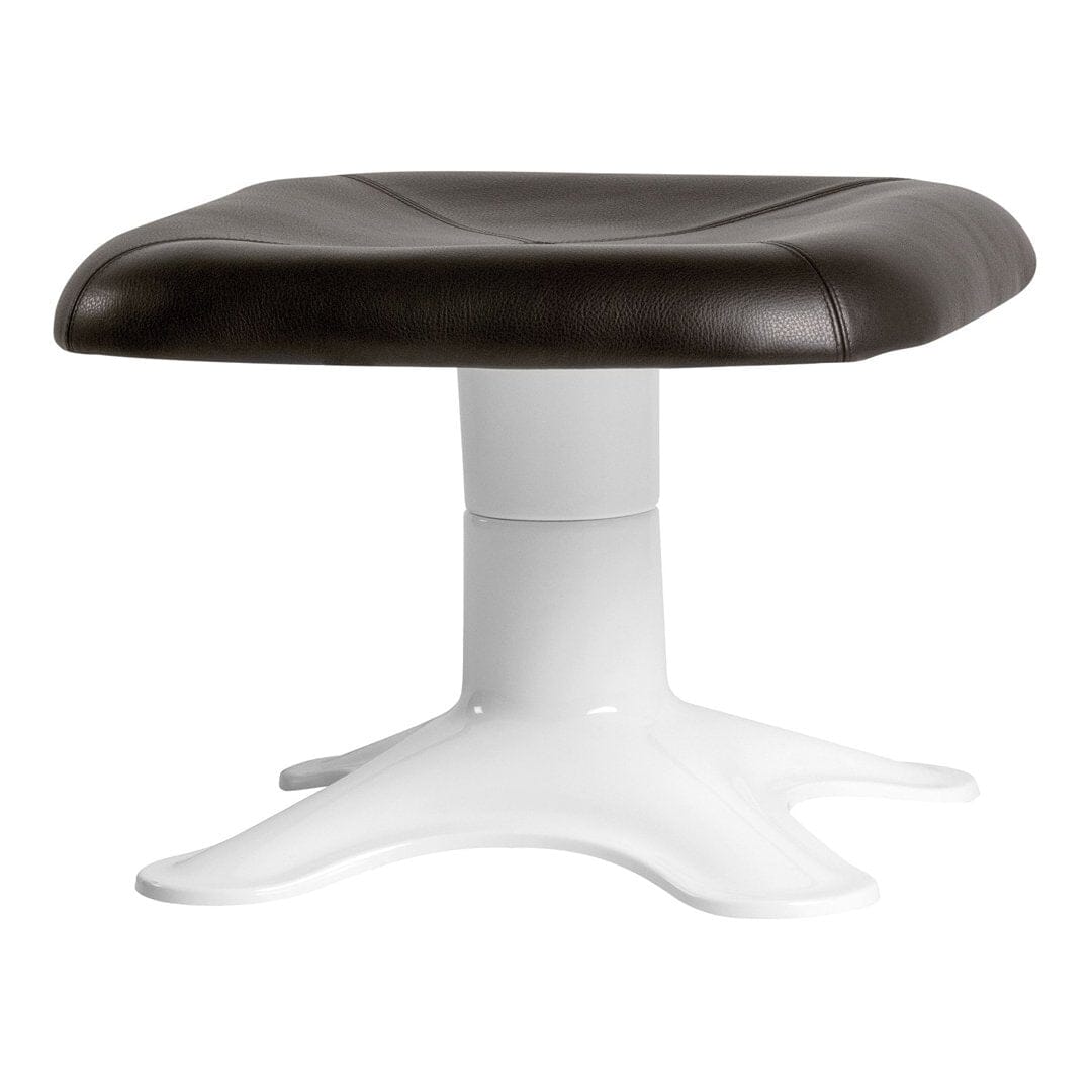 Karuselli Lounge Chair & Ottoman lounge chair Artek