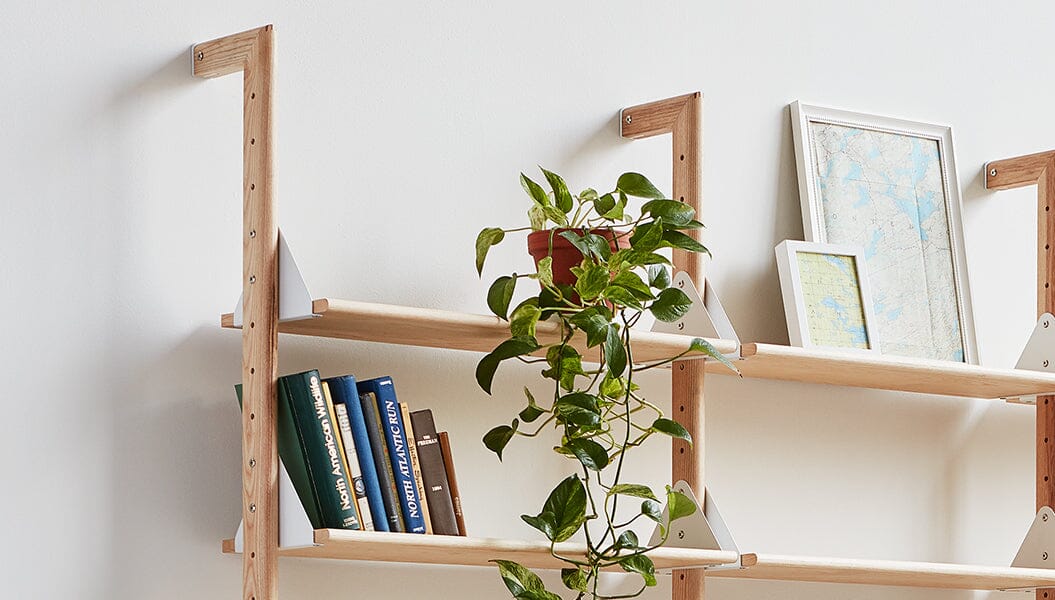Branch Upright Accessories Gus Modern