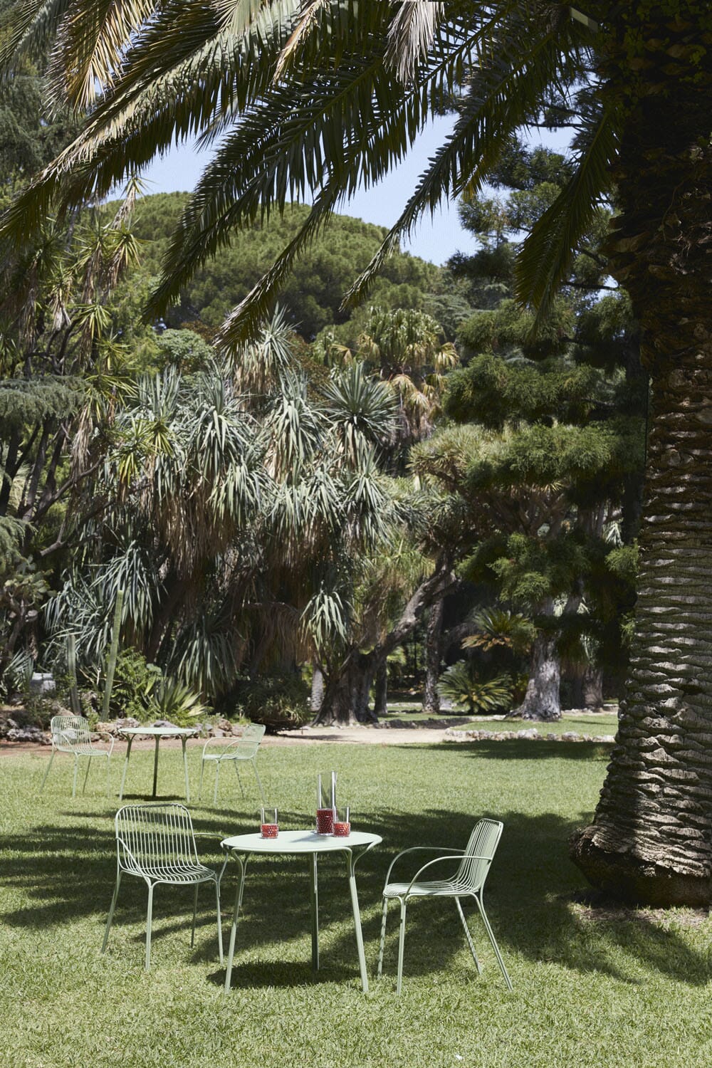 Hiray Dining Armchair Dining Chair Kartell