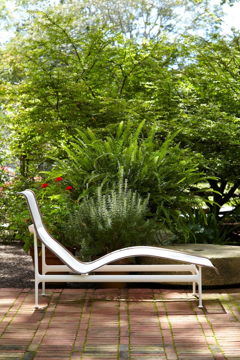 Schultz Contour Chaise Lounge Outdoors Knoll
