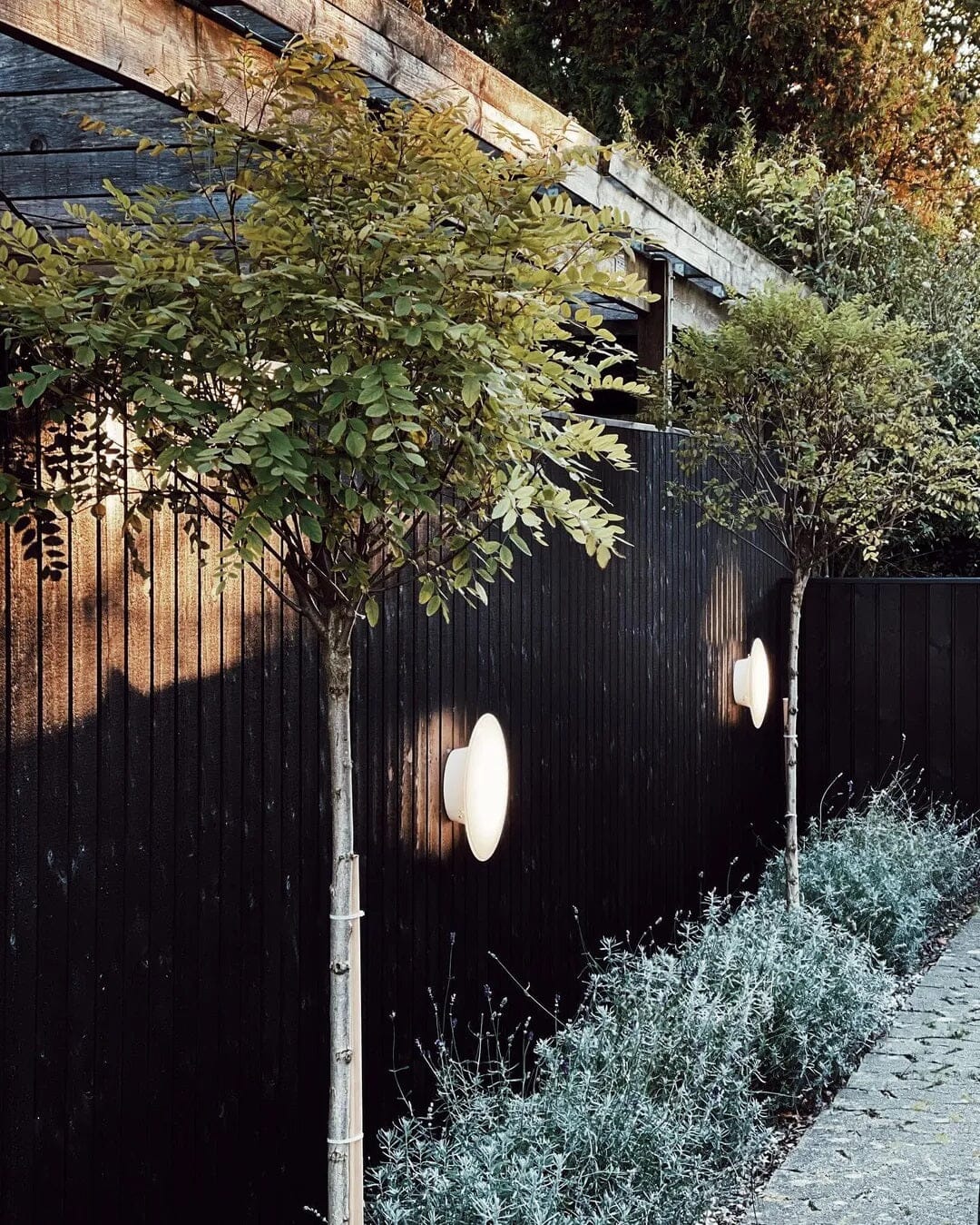 AJ Eklipta Wall/Ceiling Light wall / ceiling lamps Louis Poulsen