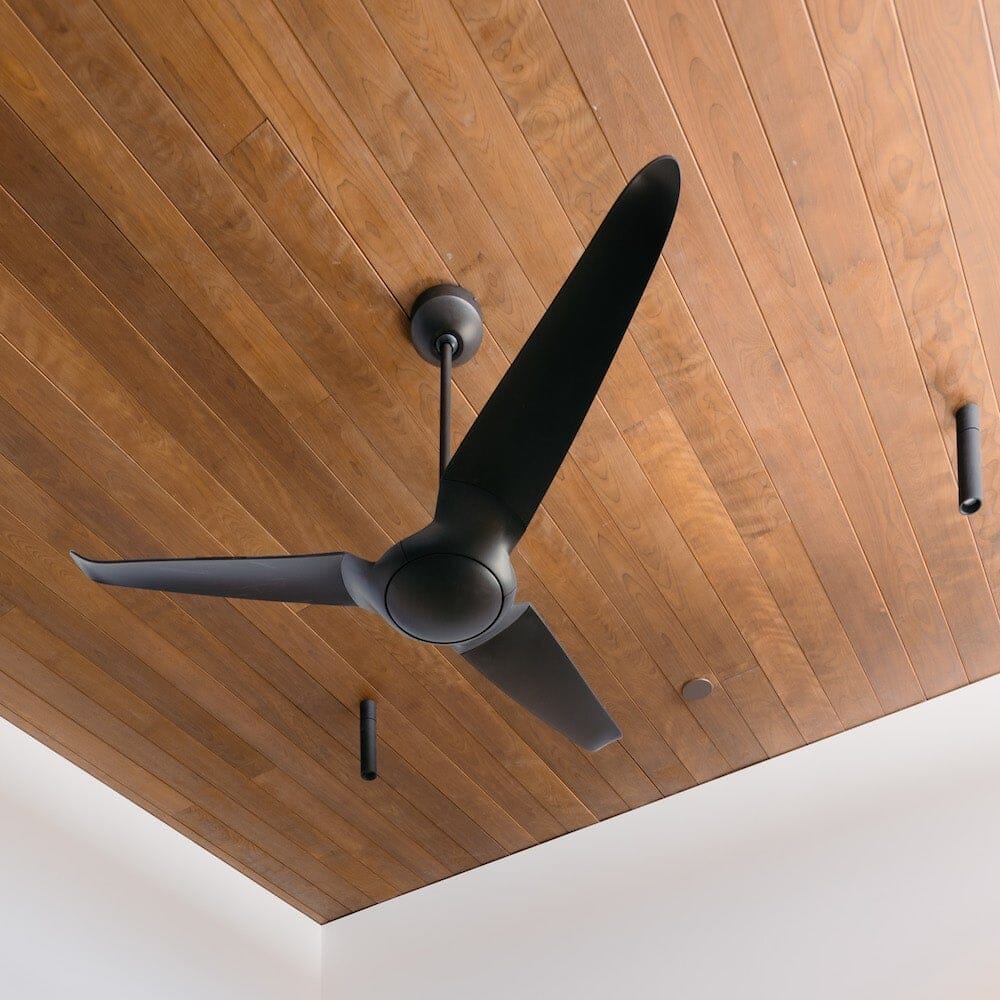 IC/Air3 DC Ceiling Fan Ceiling Fans Modern Fan Co