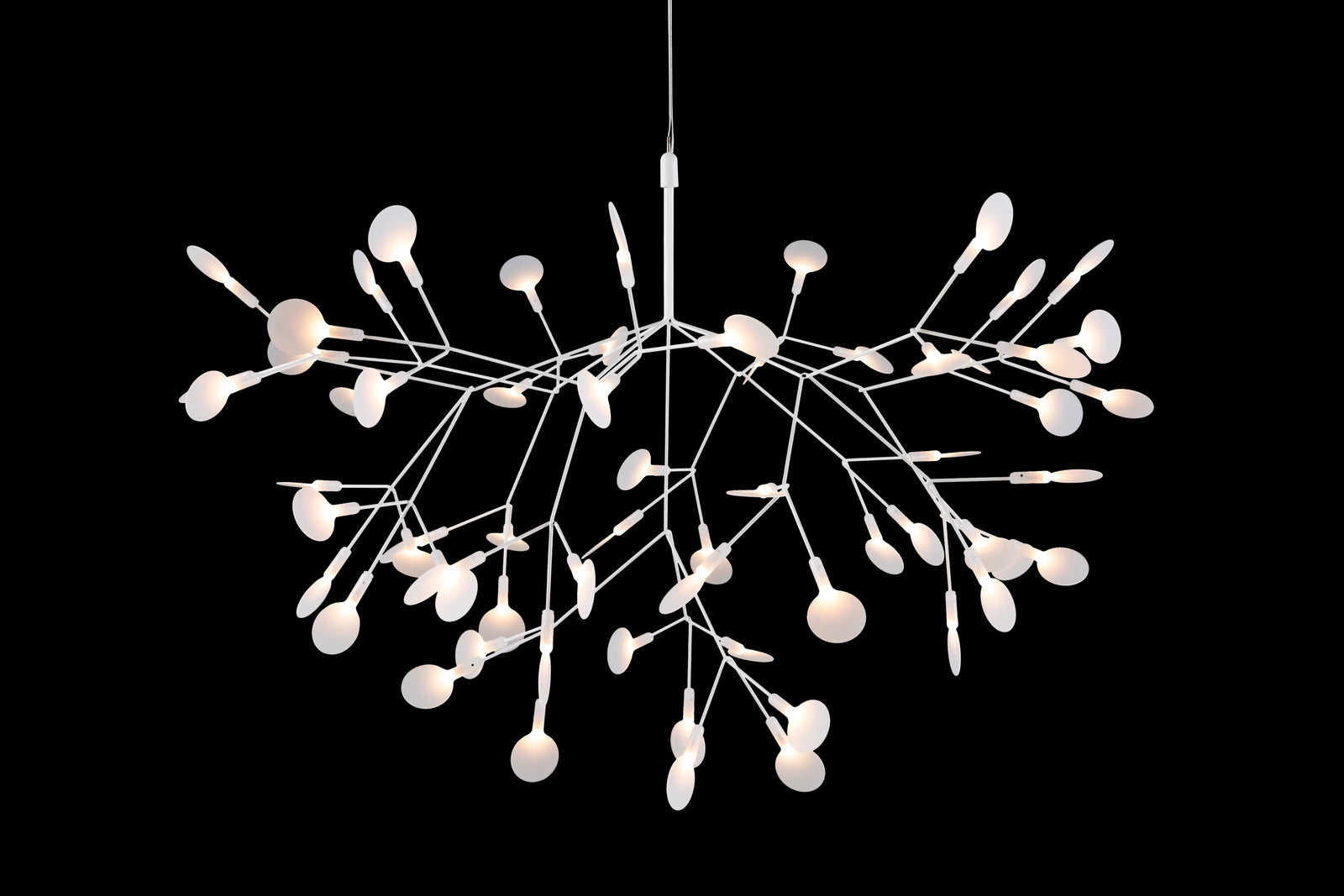 Heracleum Suspension Light