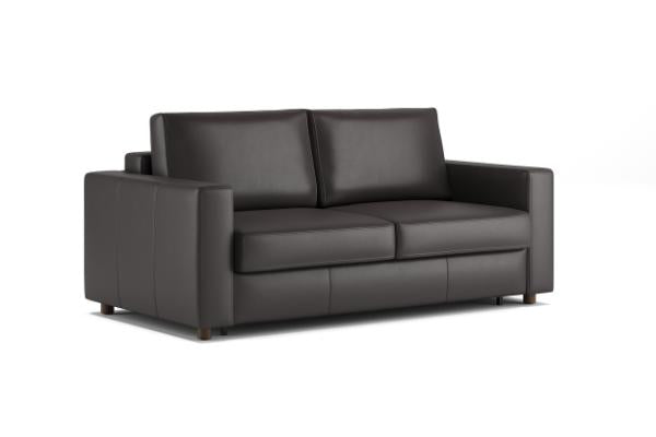 Neah Leather Sleeper Sofa