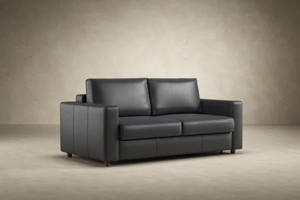 Neah Leather Sleeper Sofa