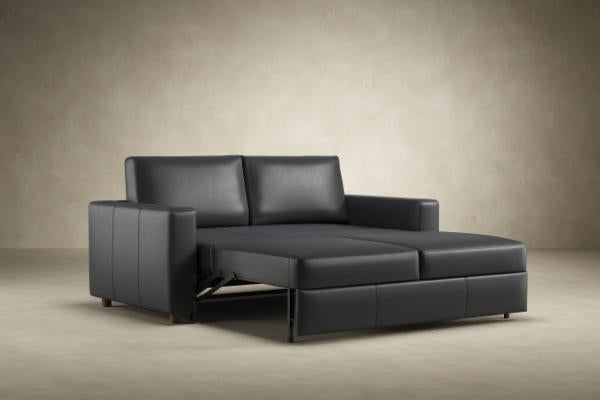 Neah Leather Sleeper Sofa