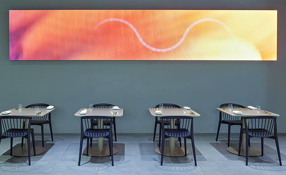 Newood Chair With Wood Seat Chair Cappellini