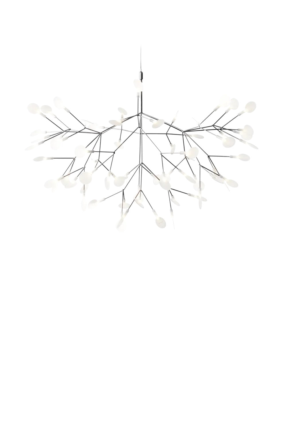 Heracleum Suspension Light