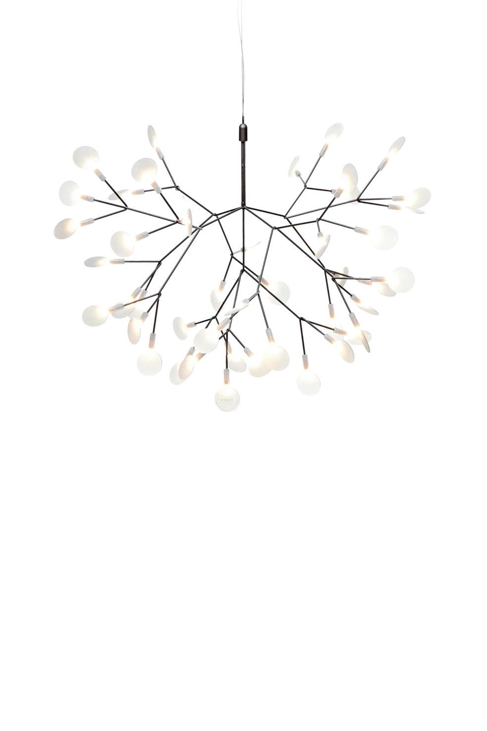 Heracleum Suspension Light