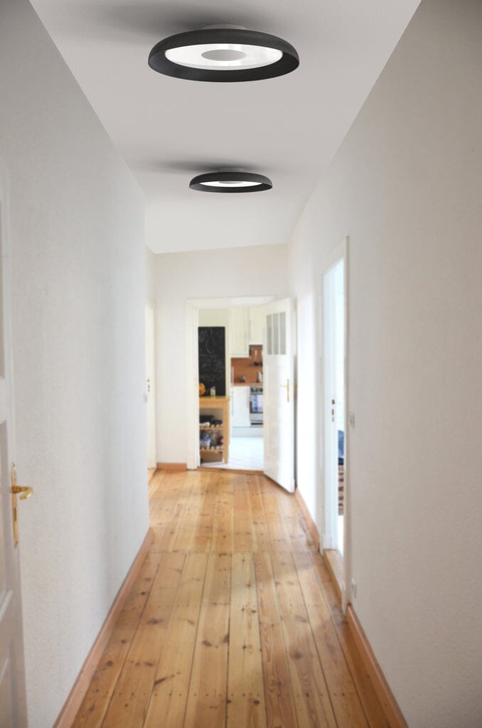 Nivél Flush Wall/Ceiling Light wall / ceiling lamps Pablo