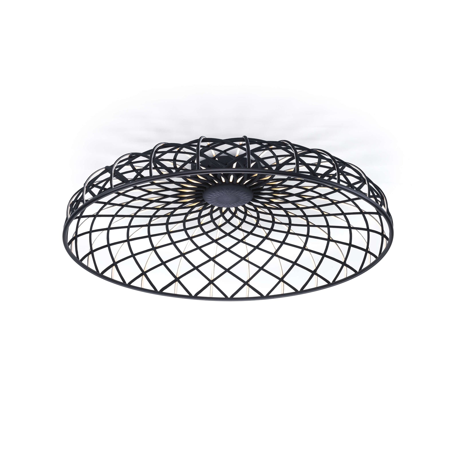 Skynest C