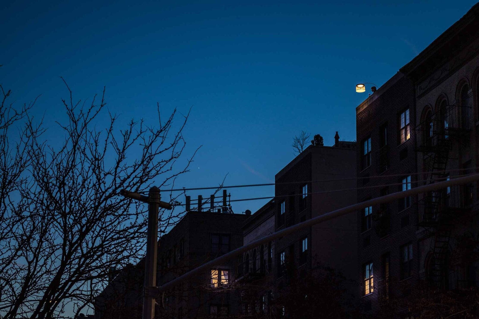 Twiggy Grid Floor Lamp Floor Lamps Foscarini