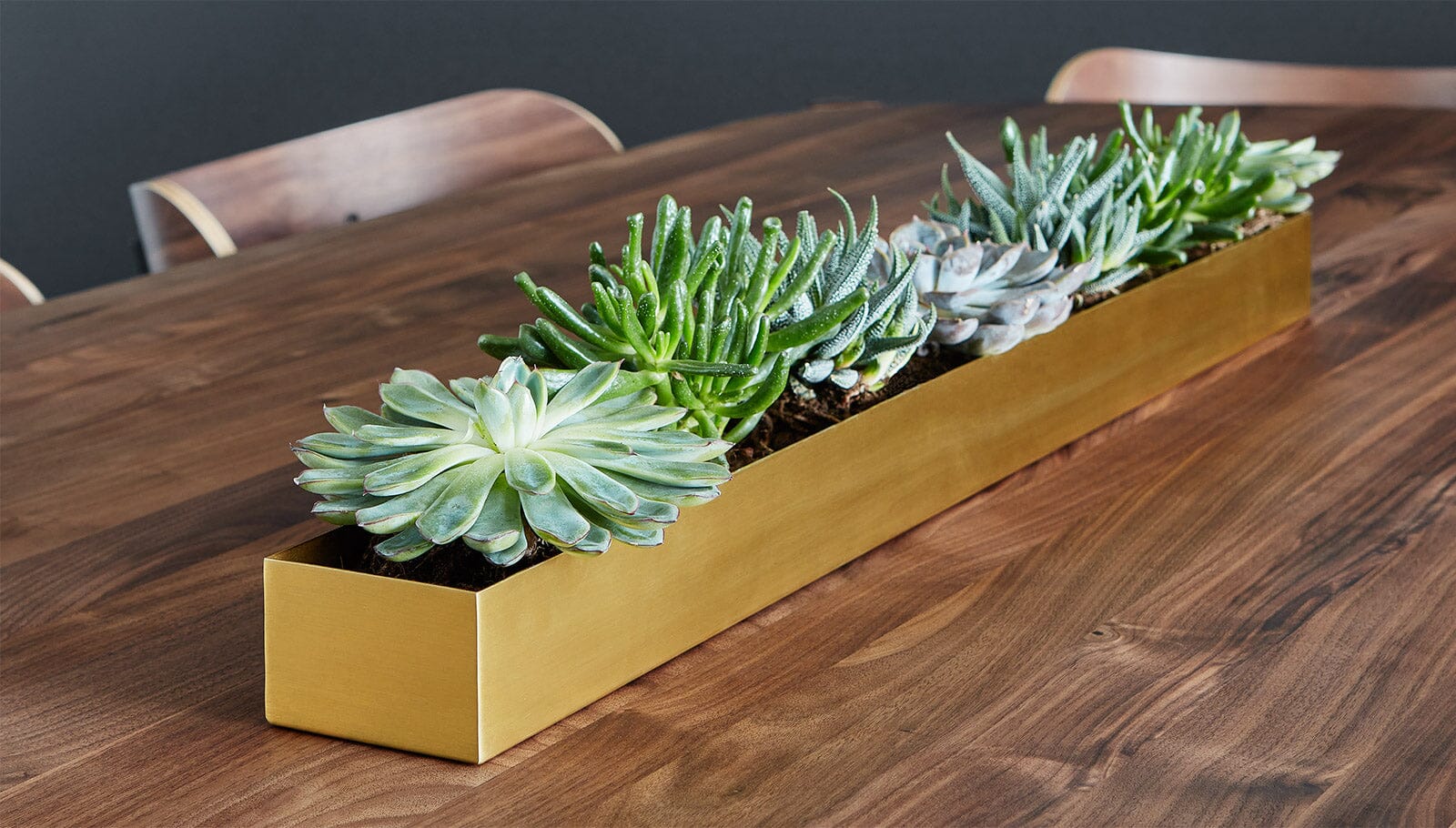 Vessel Planter Accessories Gus Modern