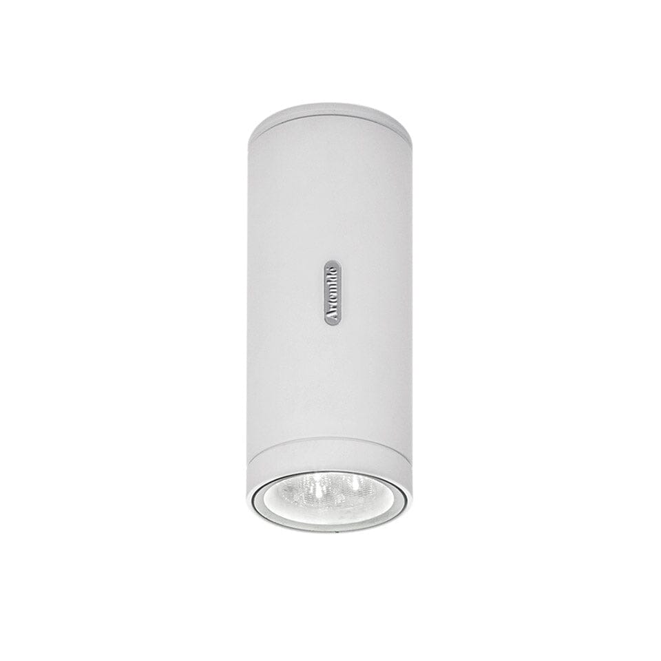 Calumet Outdoor Ceiling Light Outdoor Lighting Artemide