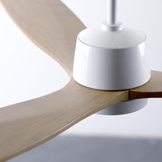 Arbor DC Ceiling Fan Ceiling Fans Modern Fan Co