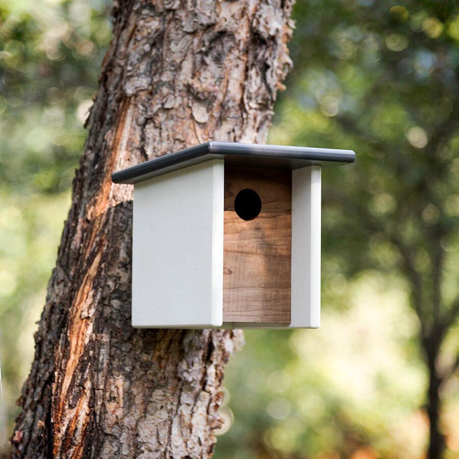 Arbor Modern Birdhouse Accessories Loll Designs