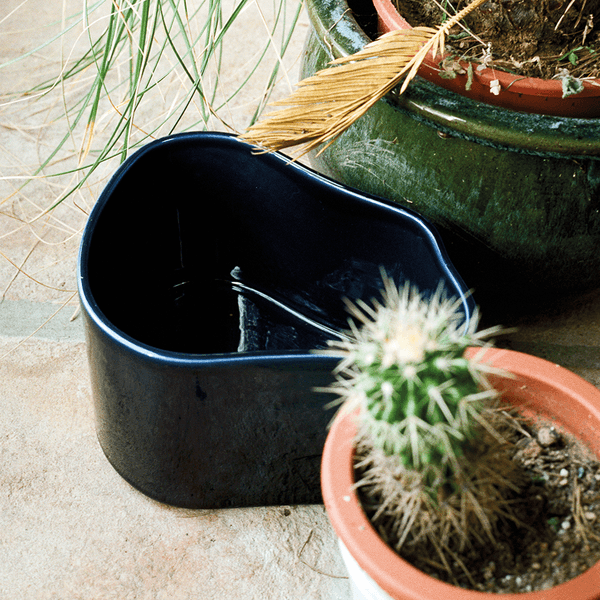 Riihitie Planter Coat Hooksrror Artek