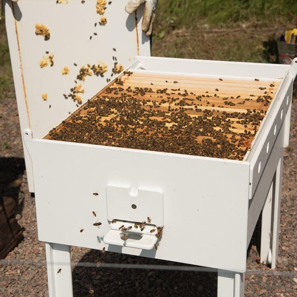 Bee Hive Accessories Loll Designs