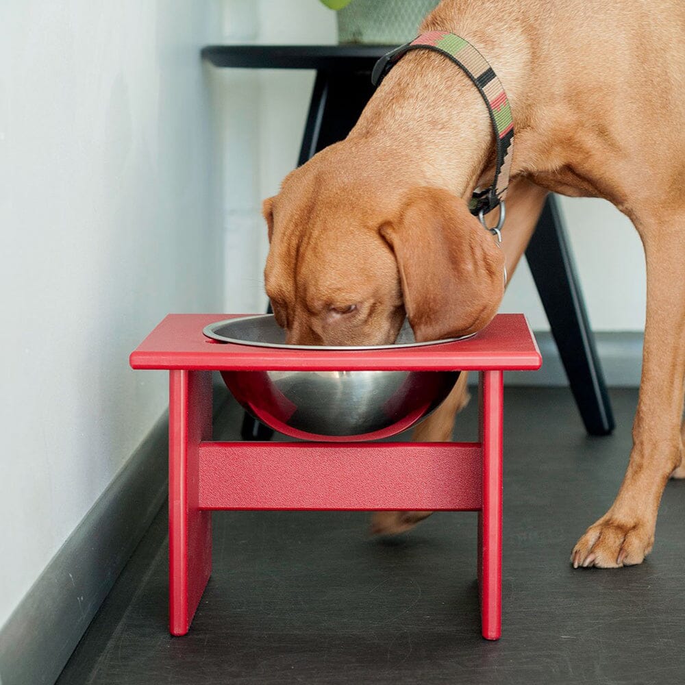 Minimalist Single Dog Bowl Stools Loll Designs