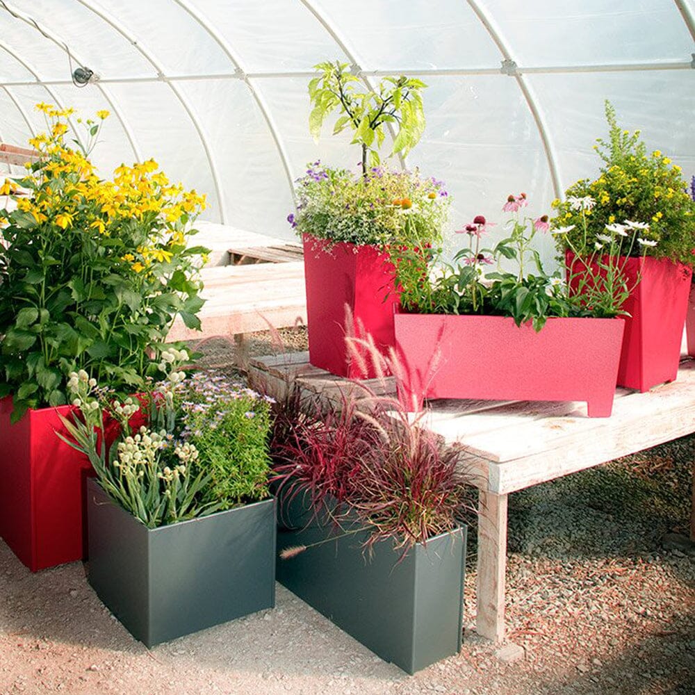 Square Planter planter Loll Designs