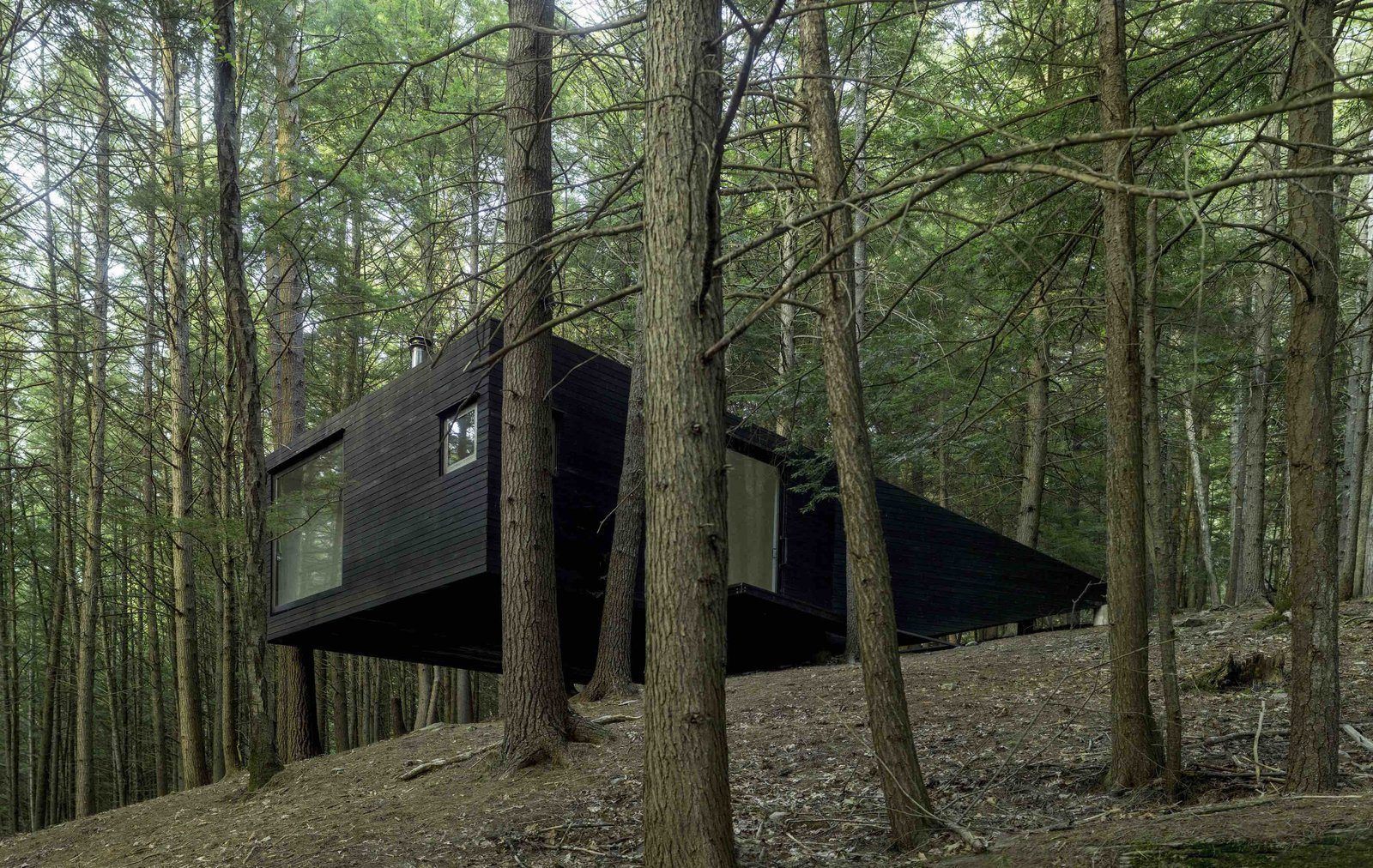 Cabin Envy, Thanks Dwell!