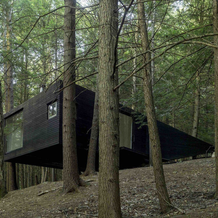 Cabin Envy, Thanks Dwell!
