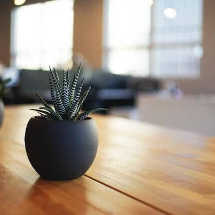 The Best Wood Furniture Polish