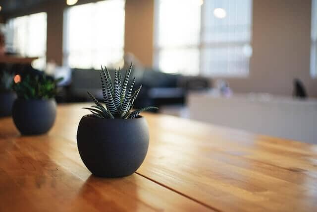 The Best Wood Furniture Polish