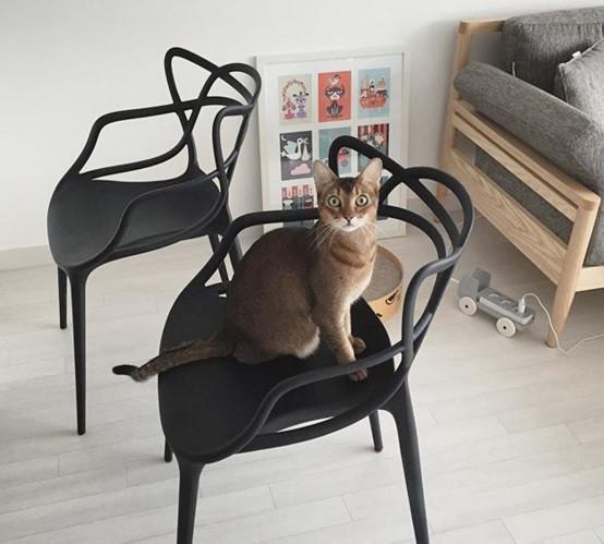 Kartell - In Stock Items