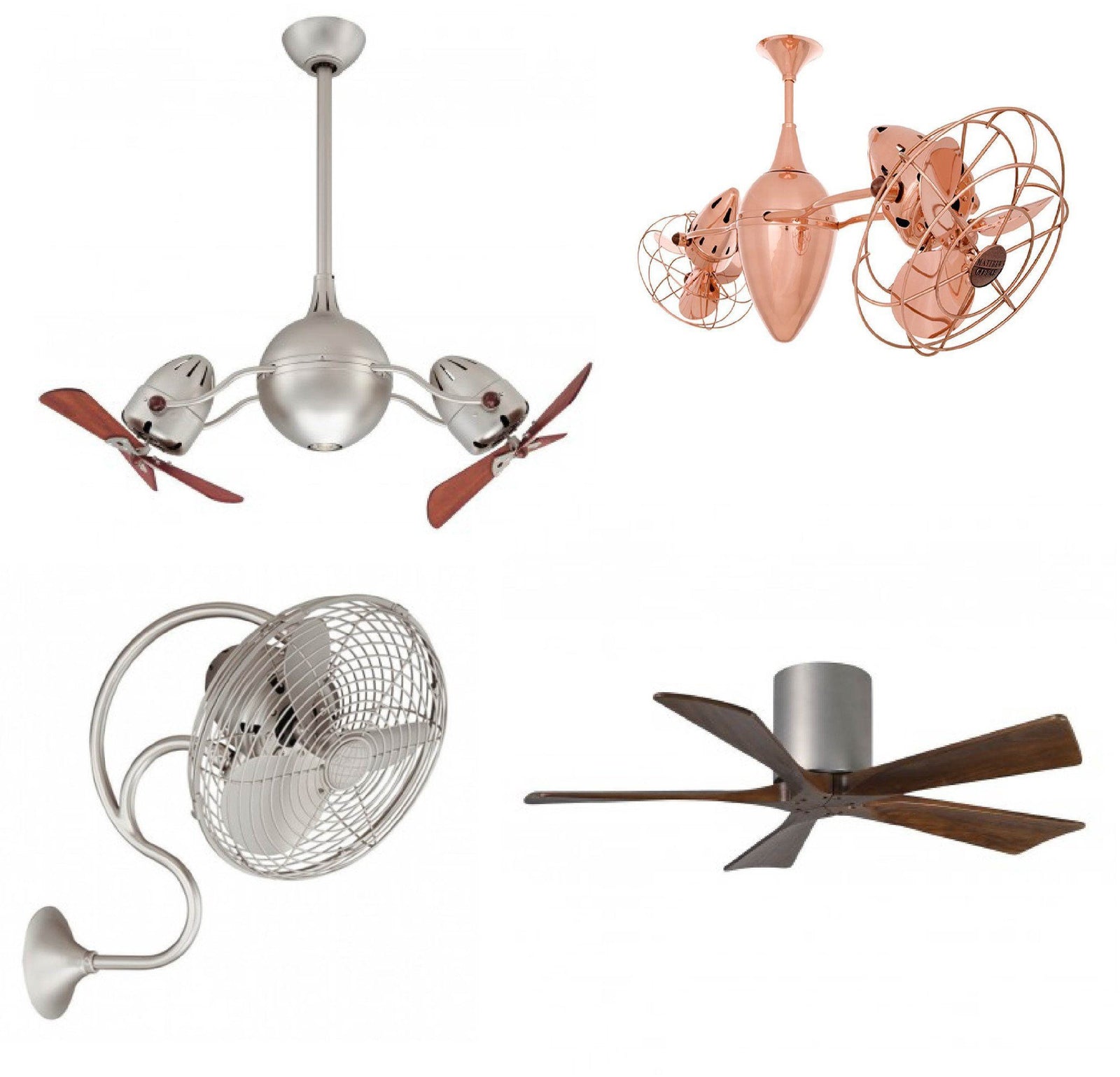 View All Matthews Fans