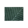 Eine Doormat - Noon Green