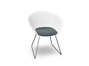 Duna 02 Sled Base Chair With Seat Cushion Chairs Arper 