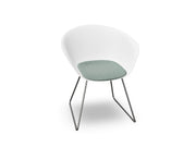 Duna 02 Sled Base Chair With Seat Cushion Chairs Arper 