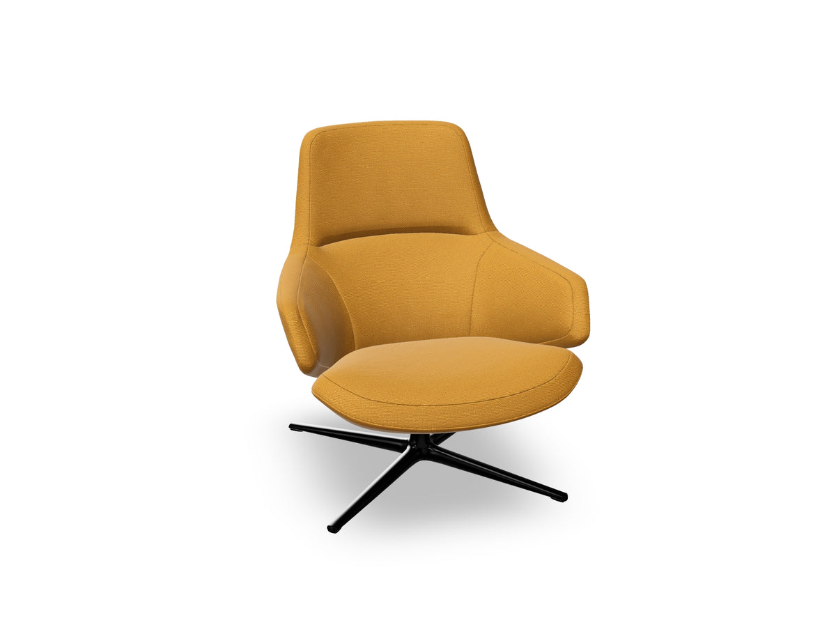 Aston Club Low Back Lounge Chair