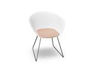 Duna 02 Sled Base Chair With Seat Cushion Chairs Arper 