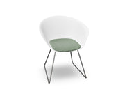 Duna 02 Sled Base Chair With Seat Cushion Chairs Arper 