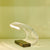 Acrilica Table Lamp Table Lamps Oluce 