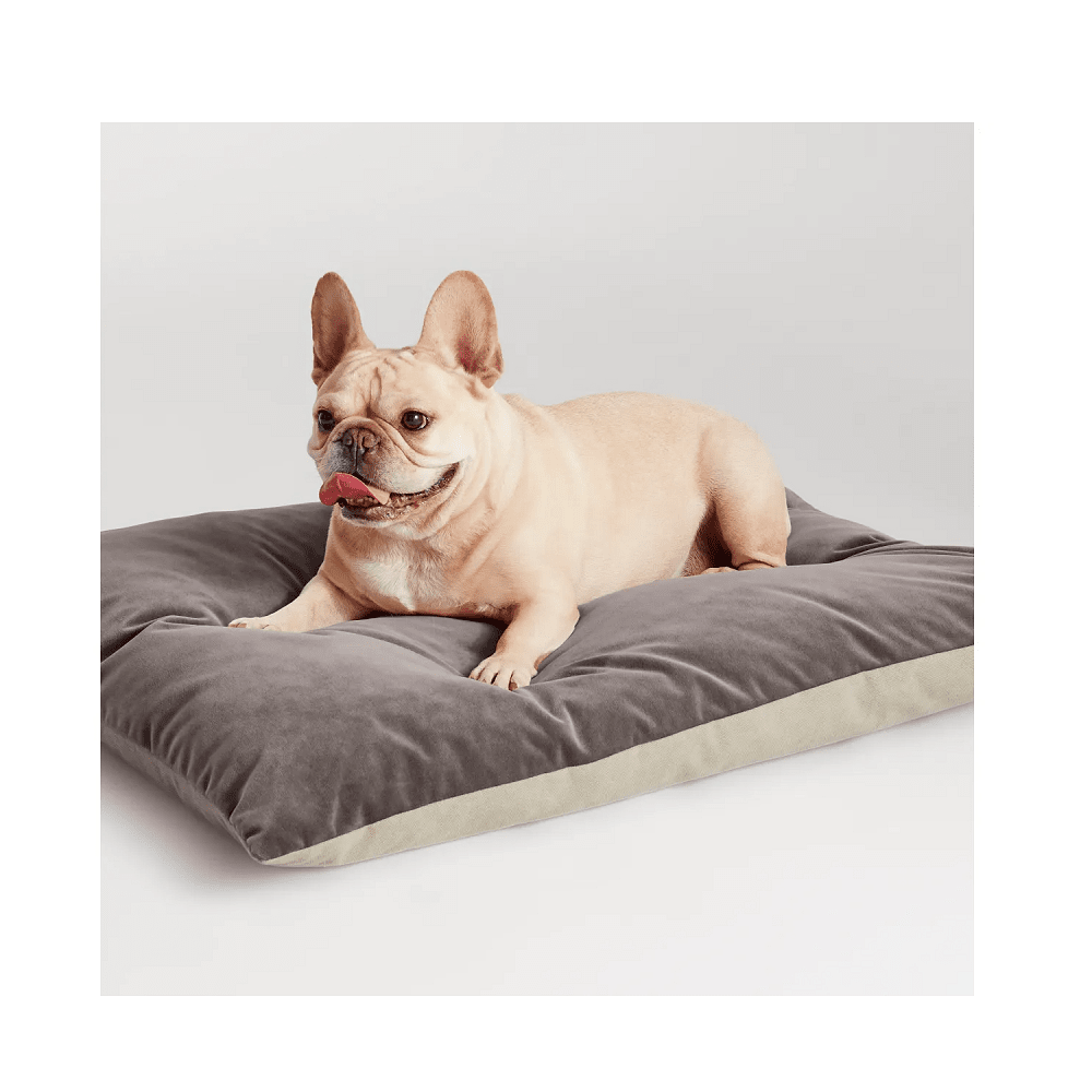 Signal Dog Bed Pillows BluDot 