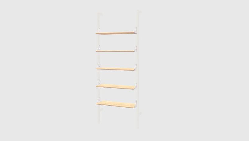 Branch Shelf 5-Pack